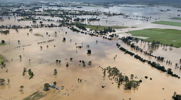HOW TO HELP | NORTHERN RIVERS FLOOD RELIEF